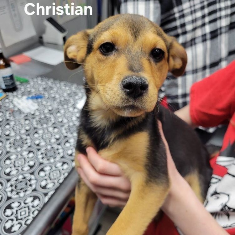 Christian