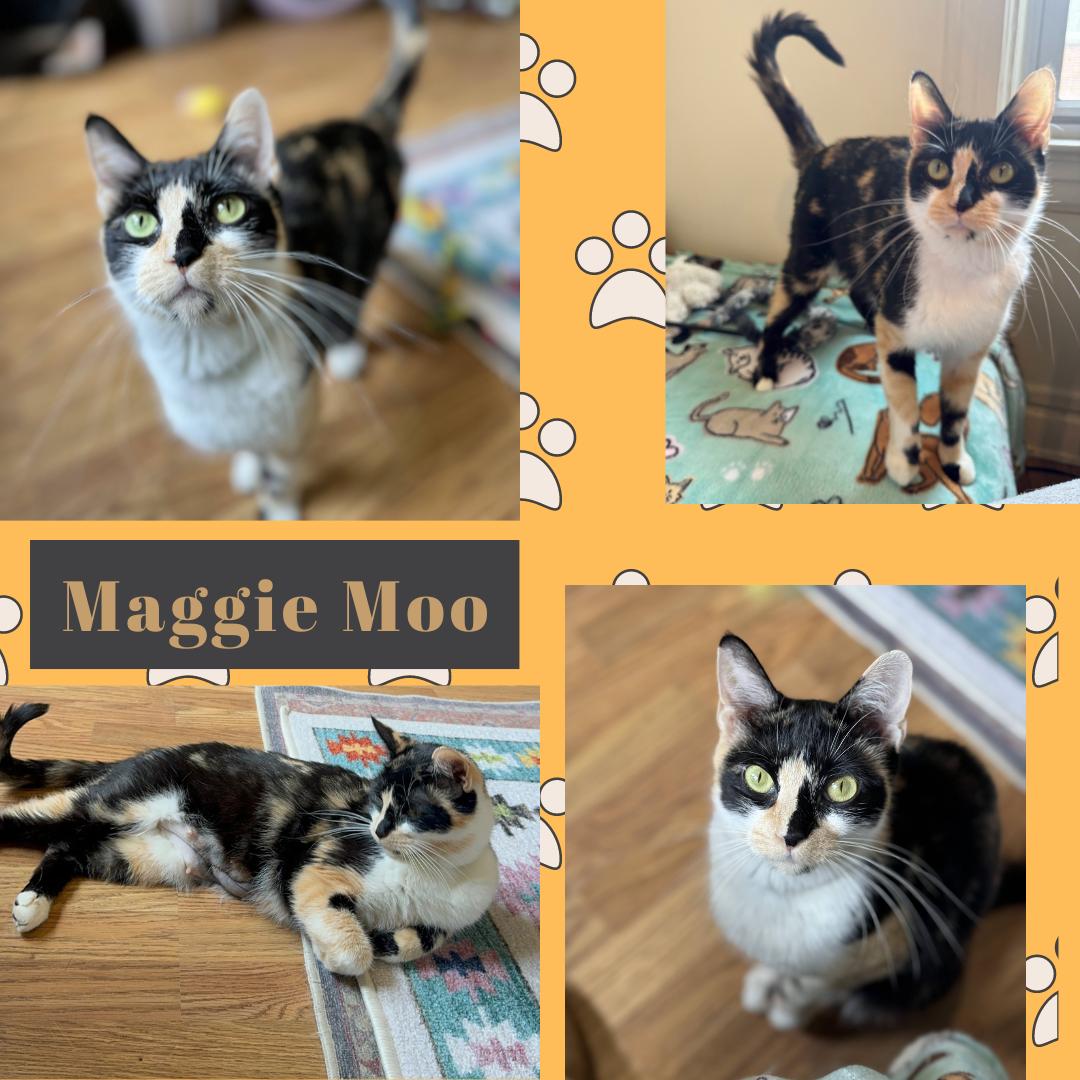 Maggie Moo