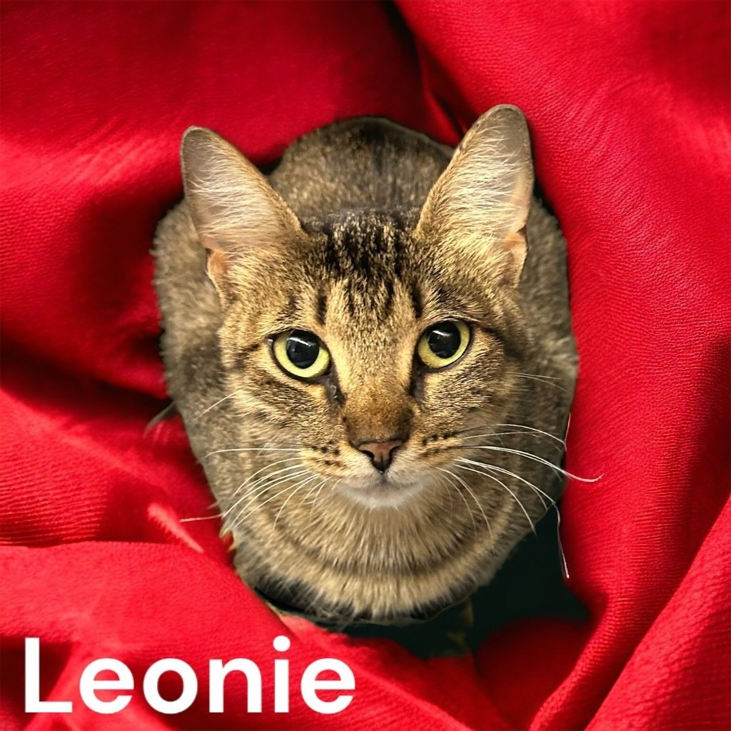 Leonie