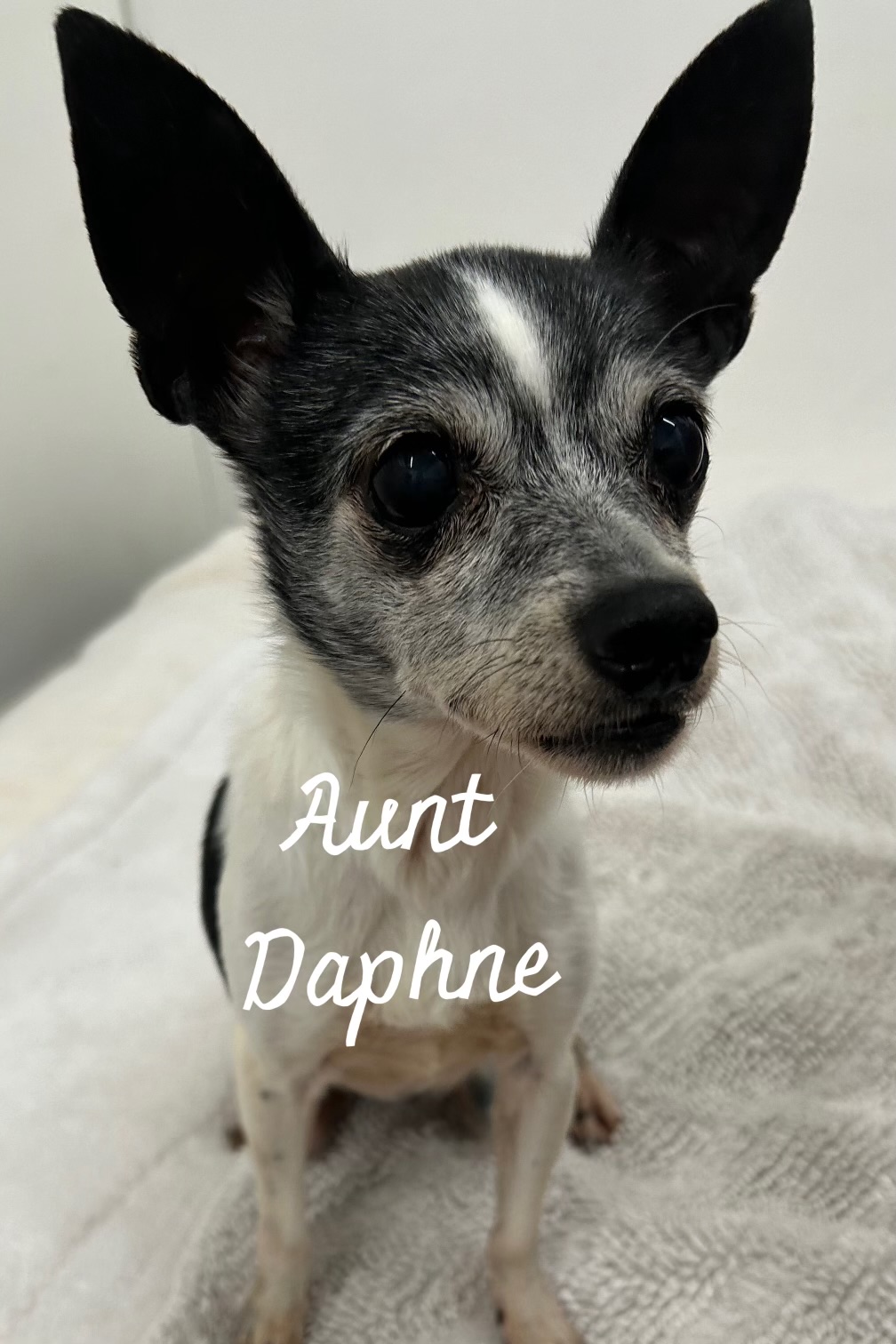 Aunt Daphne