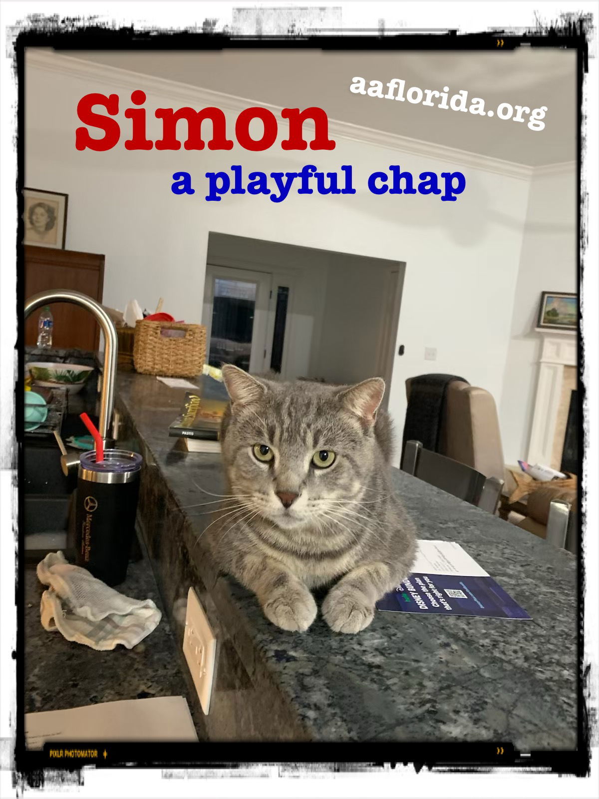 Simon