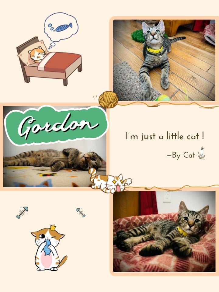 Gordon