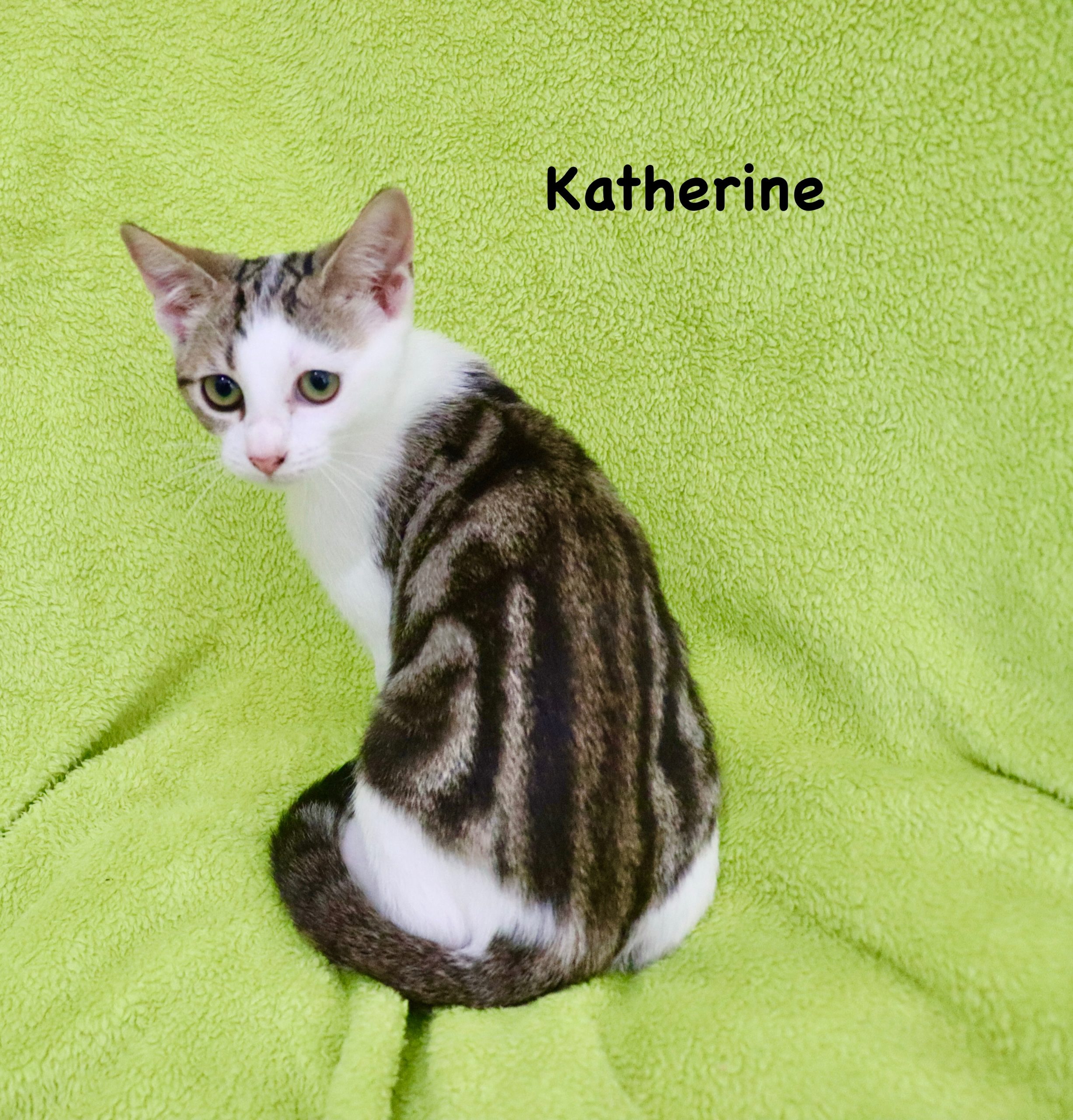 Katherine